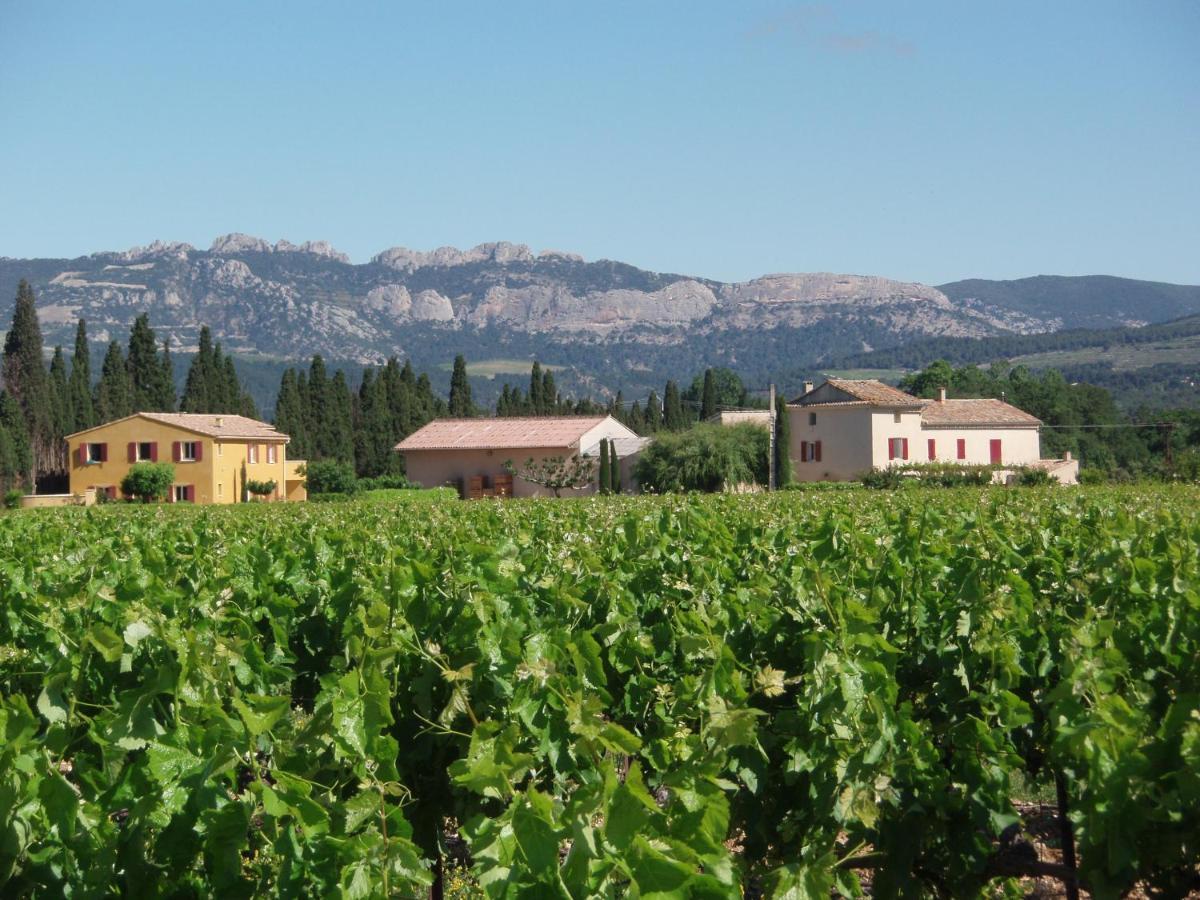 Gite Les Vignes 卡庞特拉 外观 照片